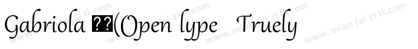 Gabriola 常规(Open lype   Truelype) (字体转换
